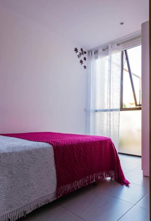 Casa Rural Vina Vella Esteiro المظهر الخارجي الصورة