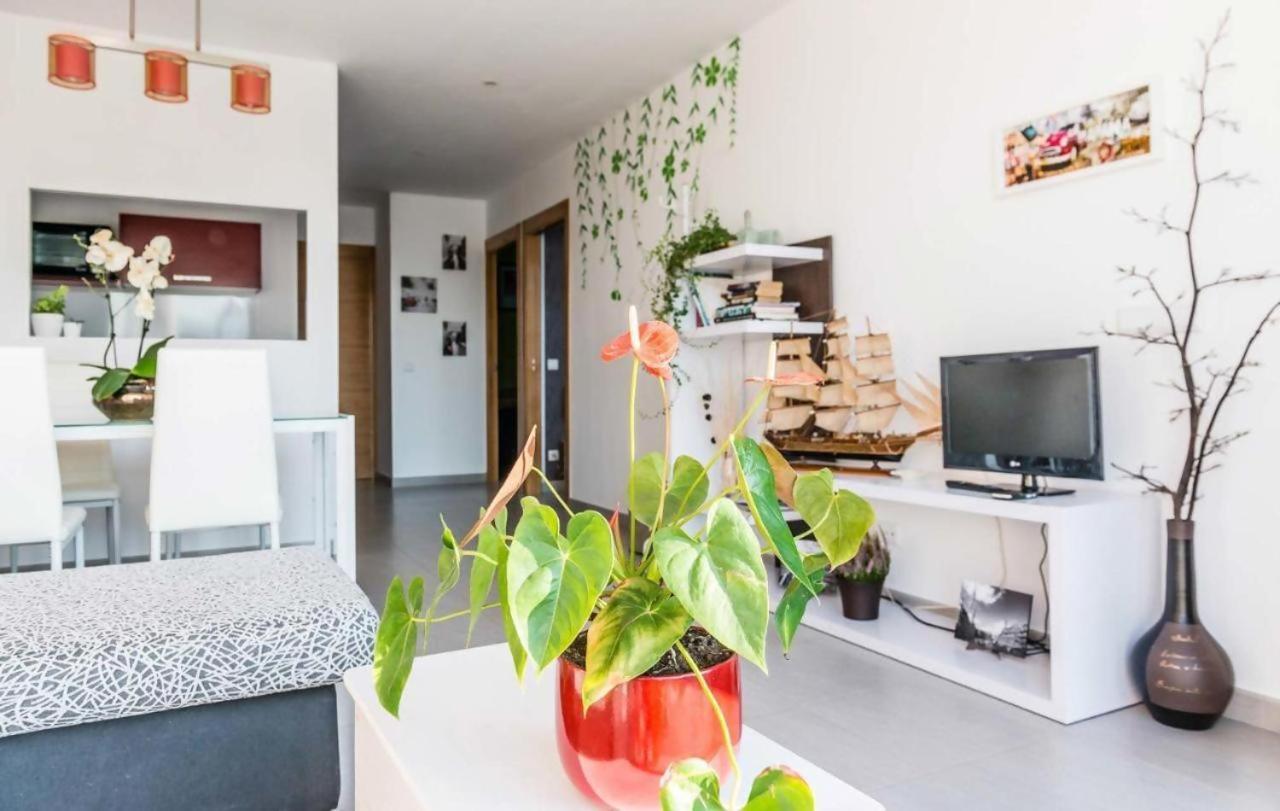 Casa Rural Vina Vella Esteiro المظهر الخارجي الصورة